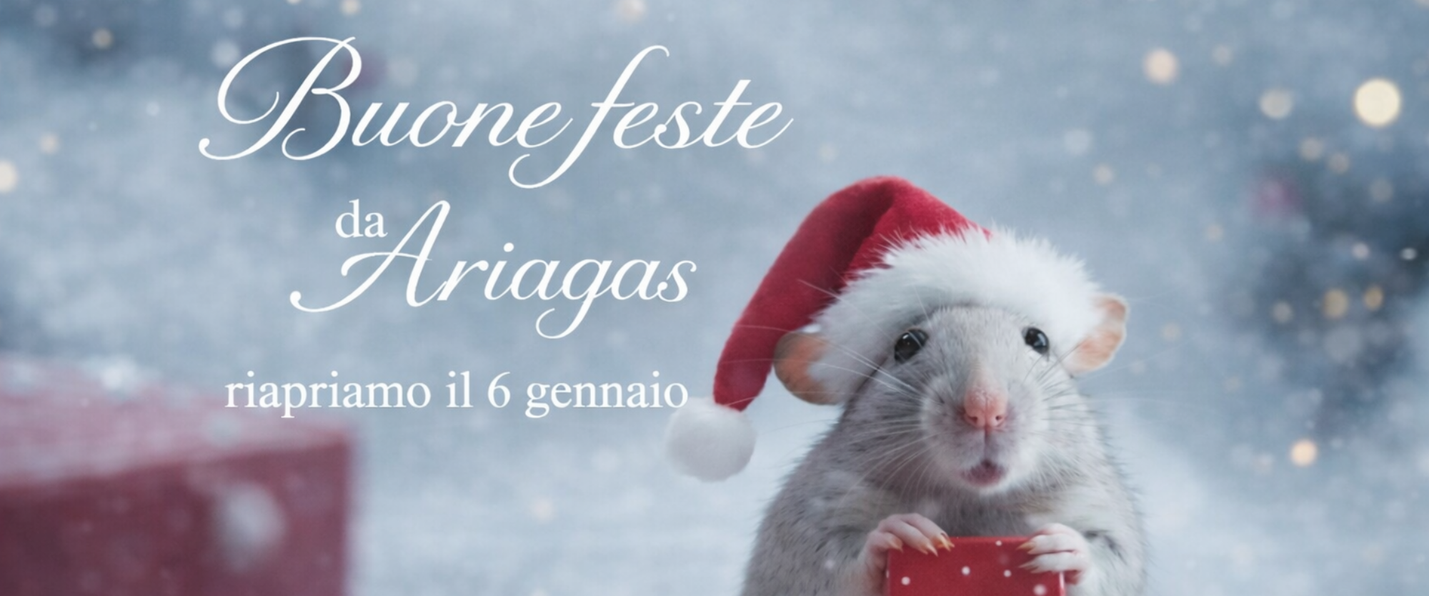 Condizionatori Torino